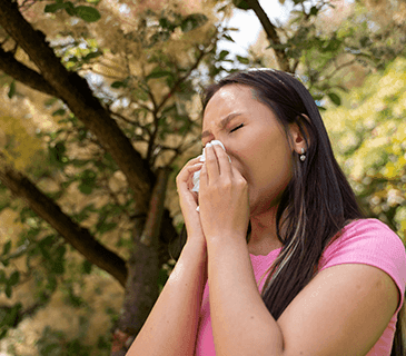Alergias Respiratórias